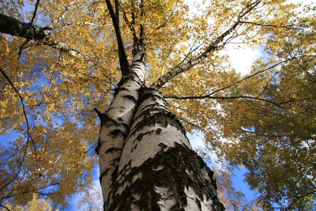 Glossaire des Rêves :Symboles des Rêves Commençant par B — Partie 3 