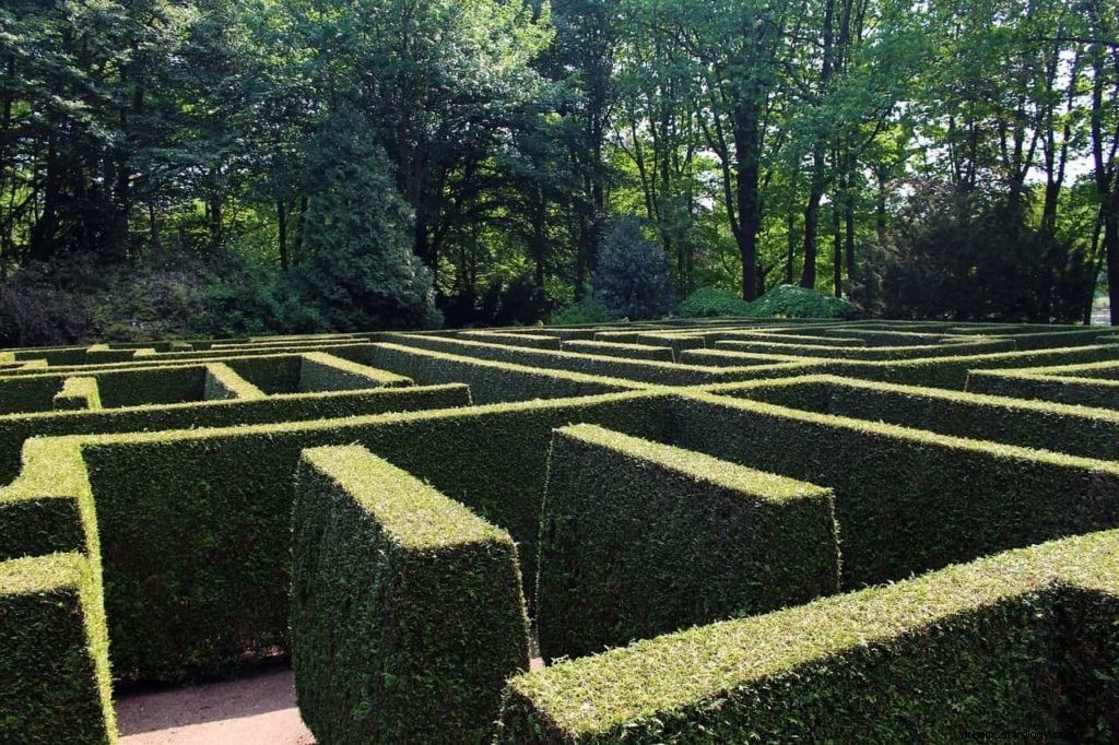 Labyrint eller labyrint drömmening och tolkning 