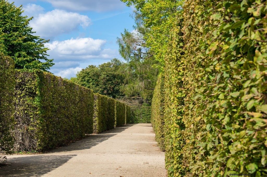 Signification et interprétation des rêves de labyrinthe ou de labyrinthe 