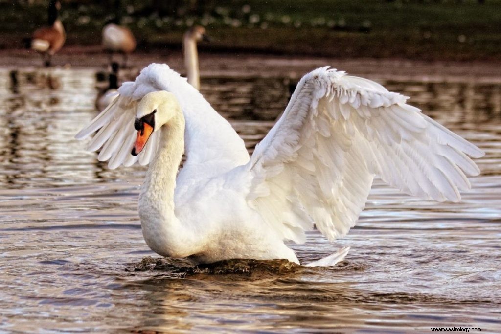 Como identificar seu animal espiritual por aniversário (guia de um mês a mês) 