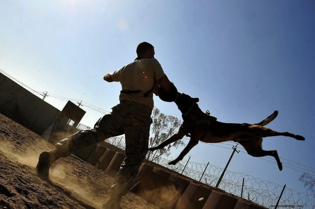 Significado y Simbolismo de Soñar con Mordedura de Perro 