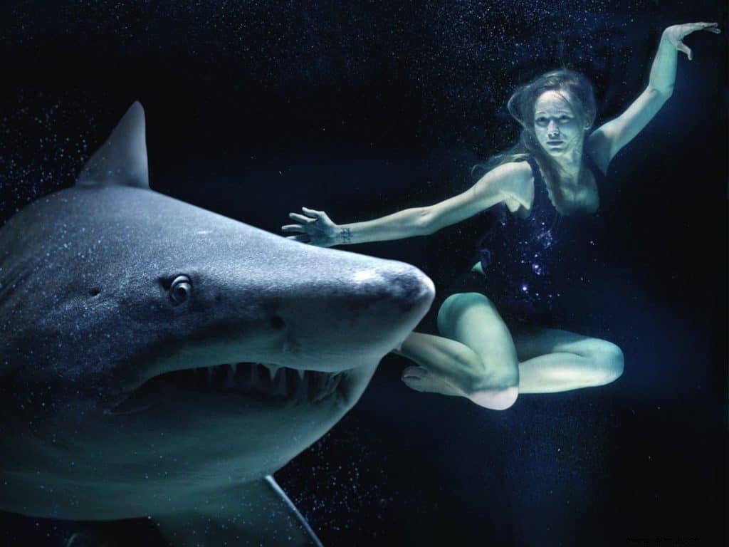 Svømming med haier Drømmebetydning og symbolikk 