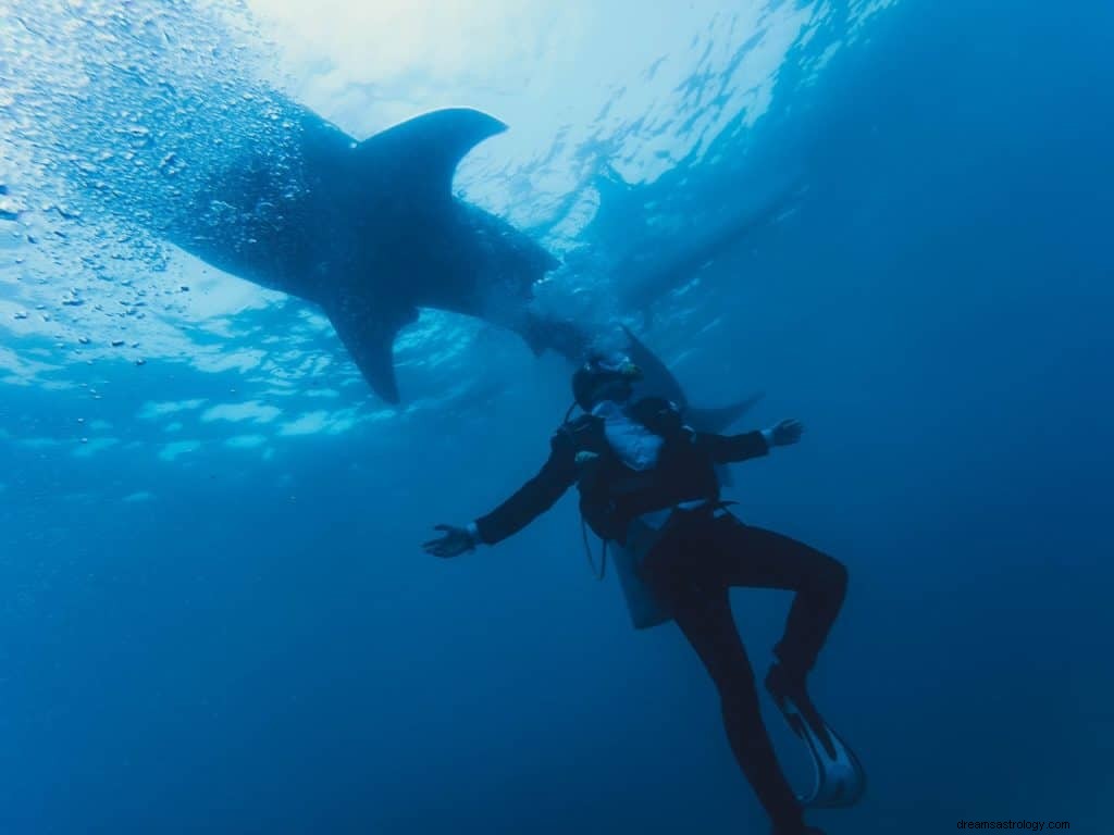 Significado y Simbolismo de Soñar con Nadar con Tiburones 