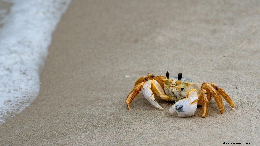 Signification et symbolisme des rêves de crabes 