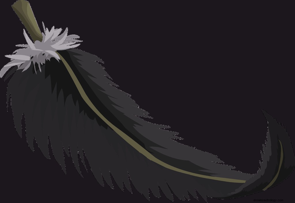 Black Feather Dream Betydelse och Symbolism 