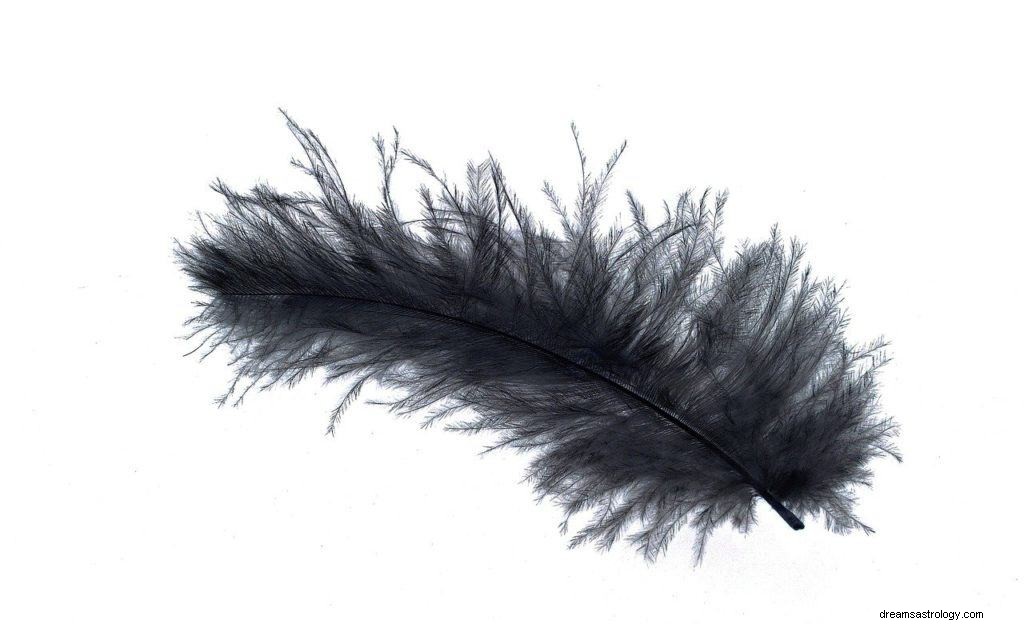 Black Feather Dream Betydning og Symbolik 