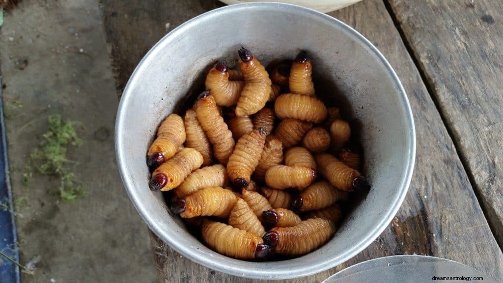 Maggots drömmening och symbolik 