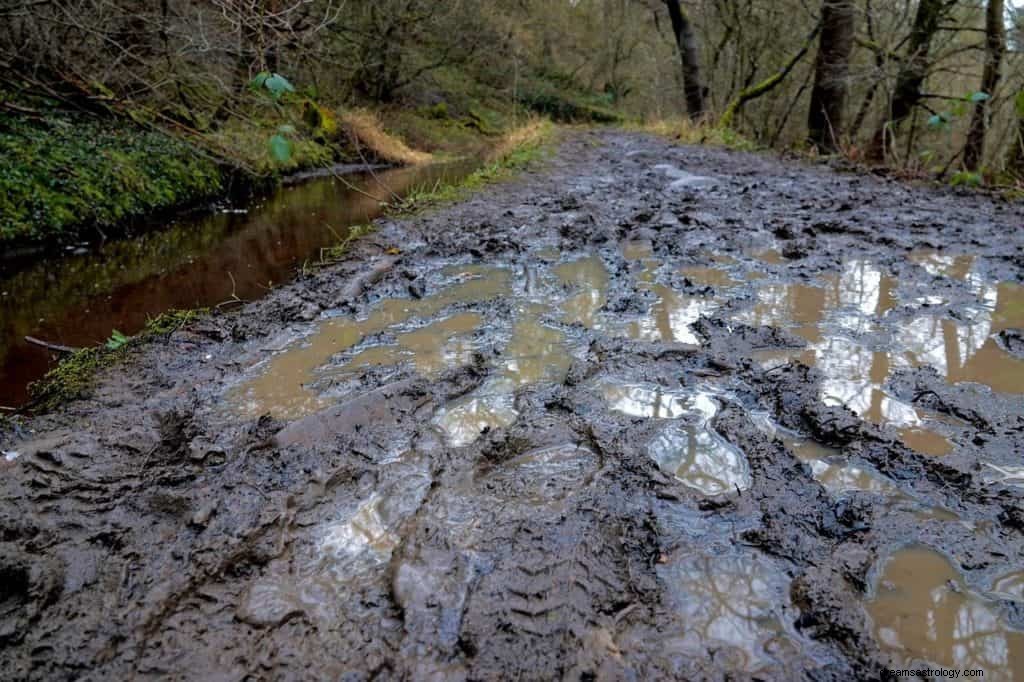 Mudderdrøms betydning og symbolik 