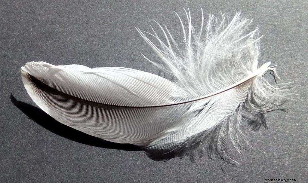 灰色の羽の夢の意味と象徴性 