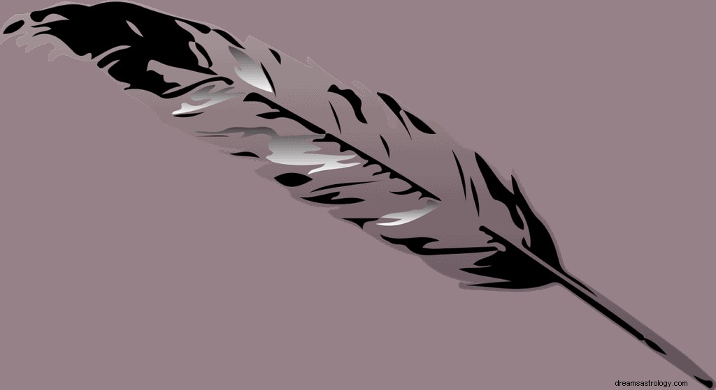 Grey Feather Dream Betekenis en symboliek 