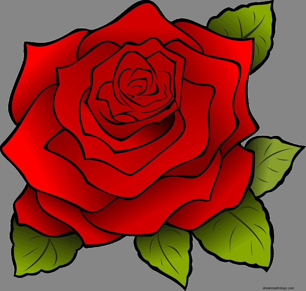 Rose Dream Betekenis en symboliek 