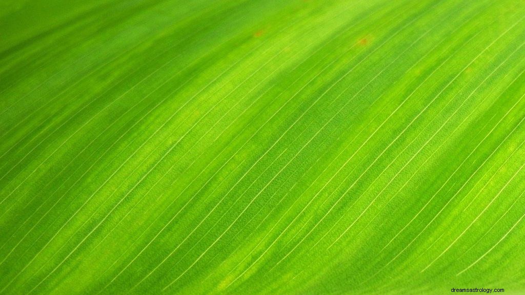 Grüne Traum Bedeutung und Symbolik 