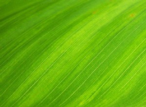 Significado e simbolismo do sonho verde 