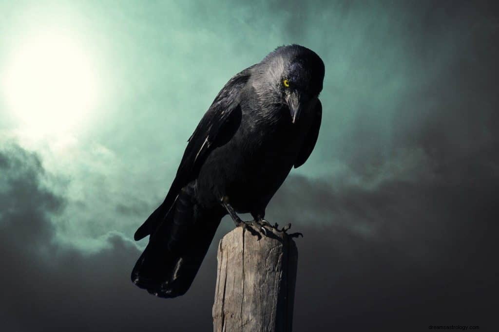 Significato e simbolismo dei sogni di corvo 