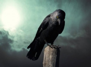 Significato e simbolismo dei sogni di corvo 