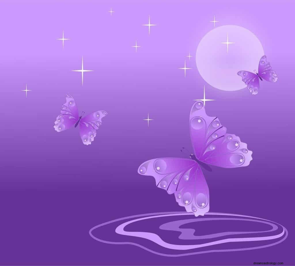 Betekenis en symboliek van paarse vlinderdroom 