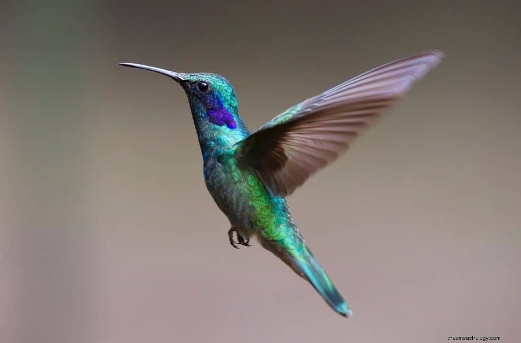 Arti Mimpi Burung Terbang dan Simbolnya 