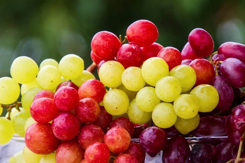 Significado e simbolismo dos sonhos com uvas 