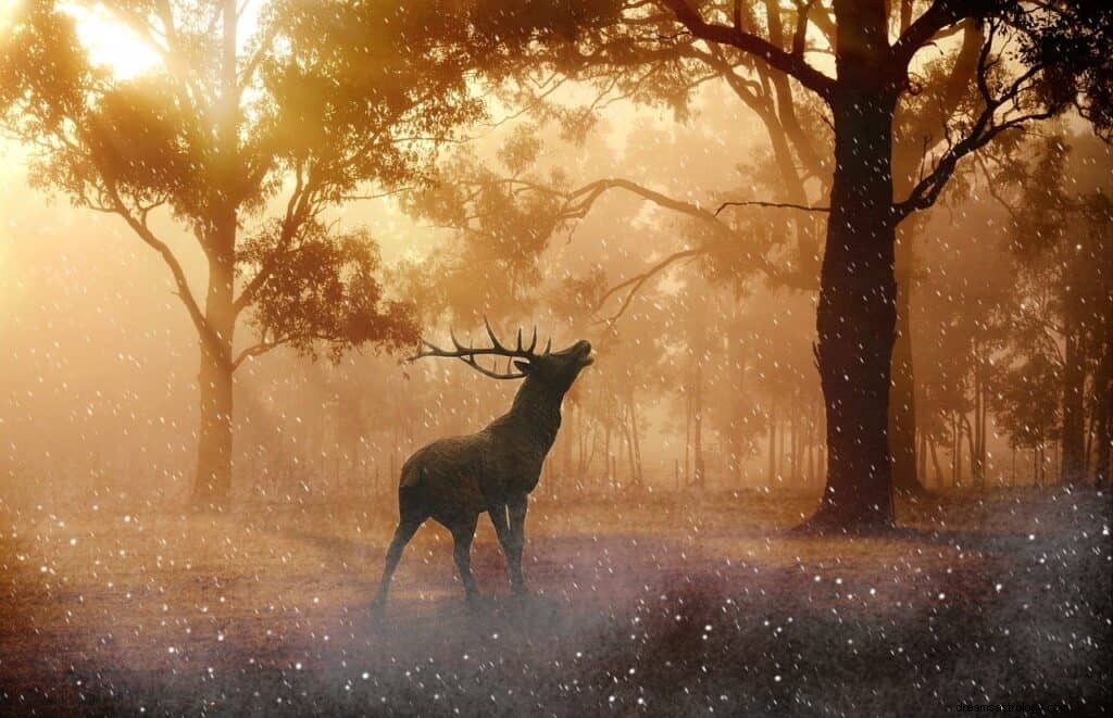 鹿またはトナカイの夢の意味と象徴性 