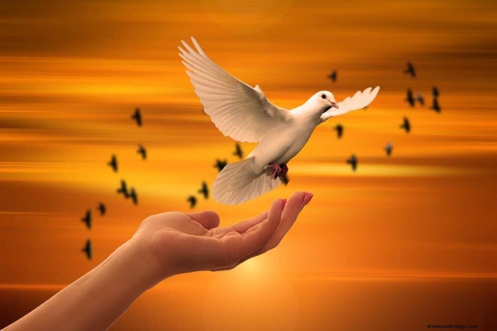 Doves Dream Νόημα και Συμβολισμός 