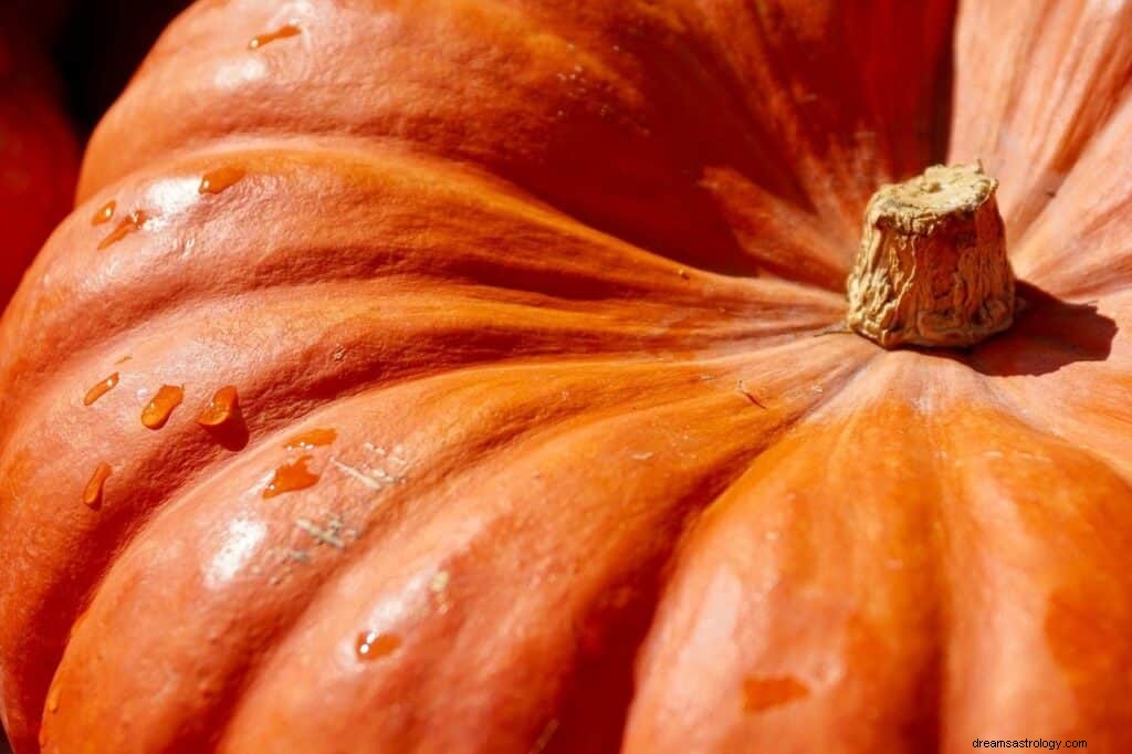 Significato e simbolismo dei sogni di zucca 