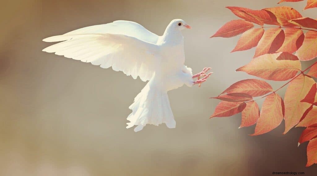 White Bird Dream Bedeutung und Symbolik 