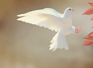 Significado y Simbolismo de Soñar con Pájaro Blanco 