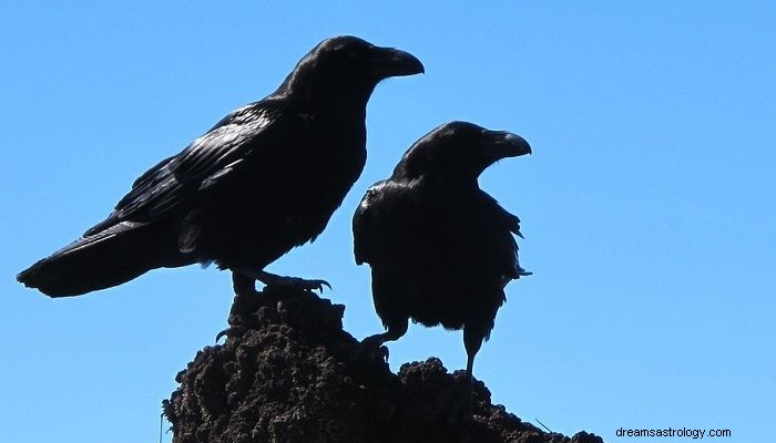 Rêves de corbeaux – Signification et interprétation 