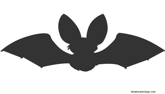 Sonhos com morcegos – interpretação e significado 
