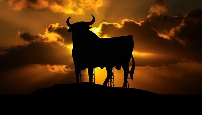 Sonhos com touros - significado e interpretação 