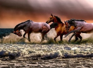 Biblický význam koní ve snech 
