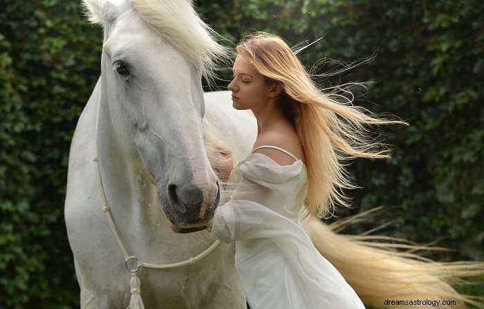 Signification biblique des chevaux dans les rêves 