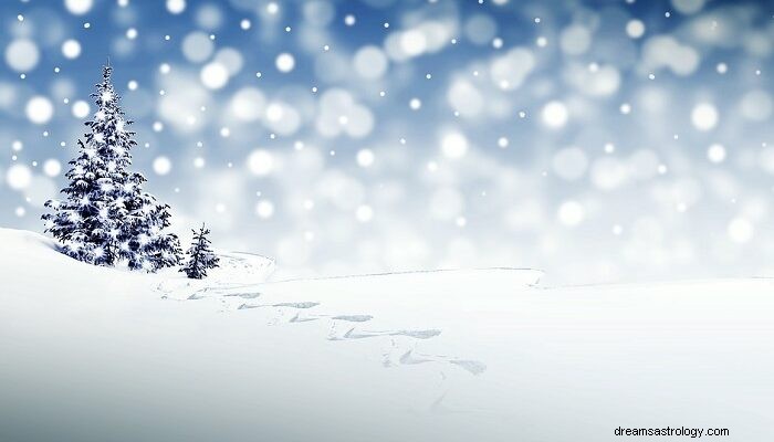 Droom over sneeuw - Betekenis en symboliek 