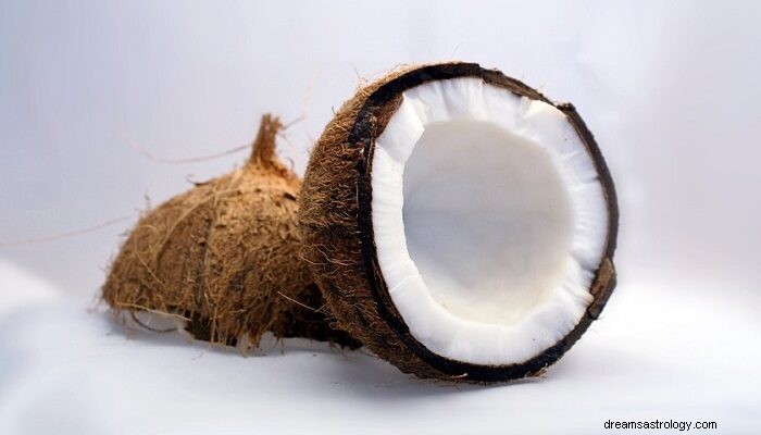 Kokos – senne znaczenie i symbolika 