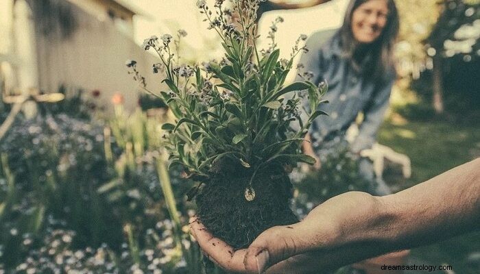 Tuin - Droombetekenis en symboliek 