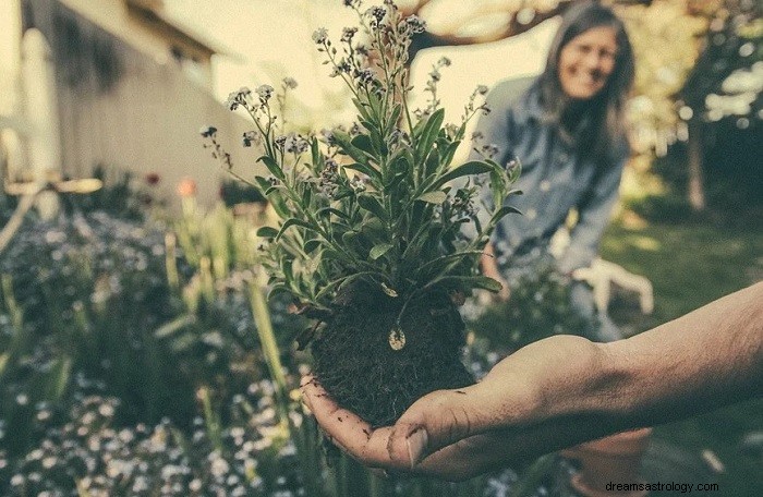 Garten – Traumbedeutung und Symbolik 