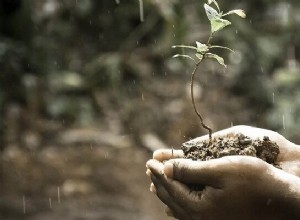 土壌の聖書の夢の意味 