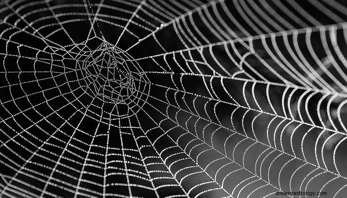 蜘蛛の巣の夢–意味と象徴性 