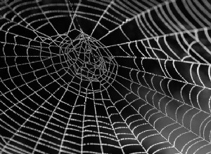 Sen o pavučinách – význam a symbolika 