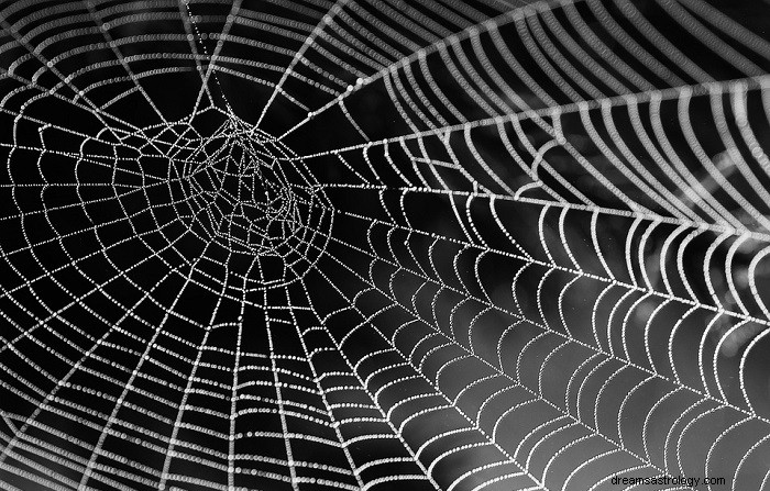 Droom van spinnenwebben - betekenis en symboliek 