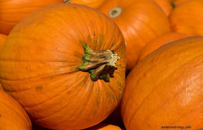 Citrouille - Signification et symbolisme des rêves 