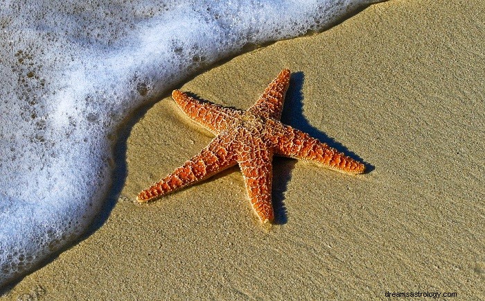 Estrella de mar – Significado y simbolismo de los sueños 