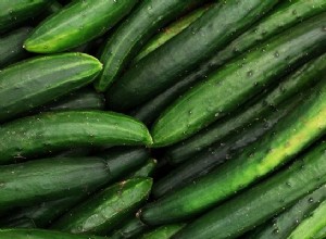 Pepino – Significado y Simbolismo de los Sueños 