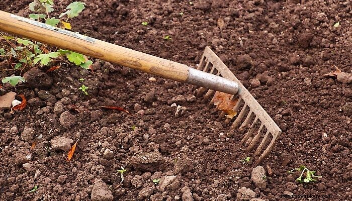 Sogno di coltivare la terra:significato e simbolismo 