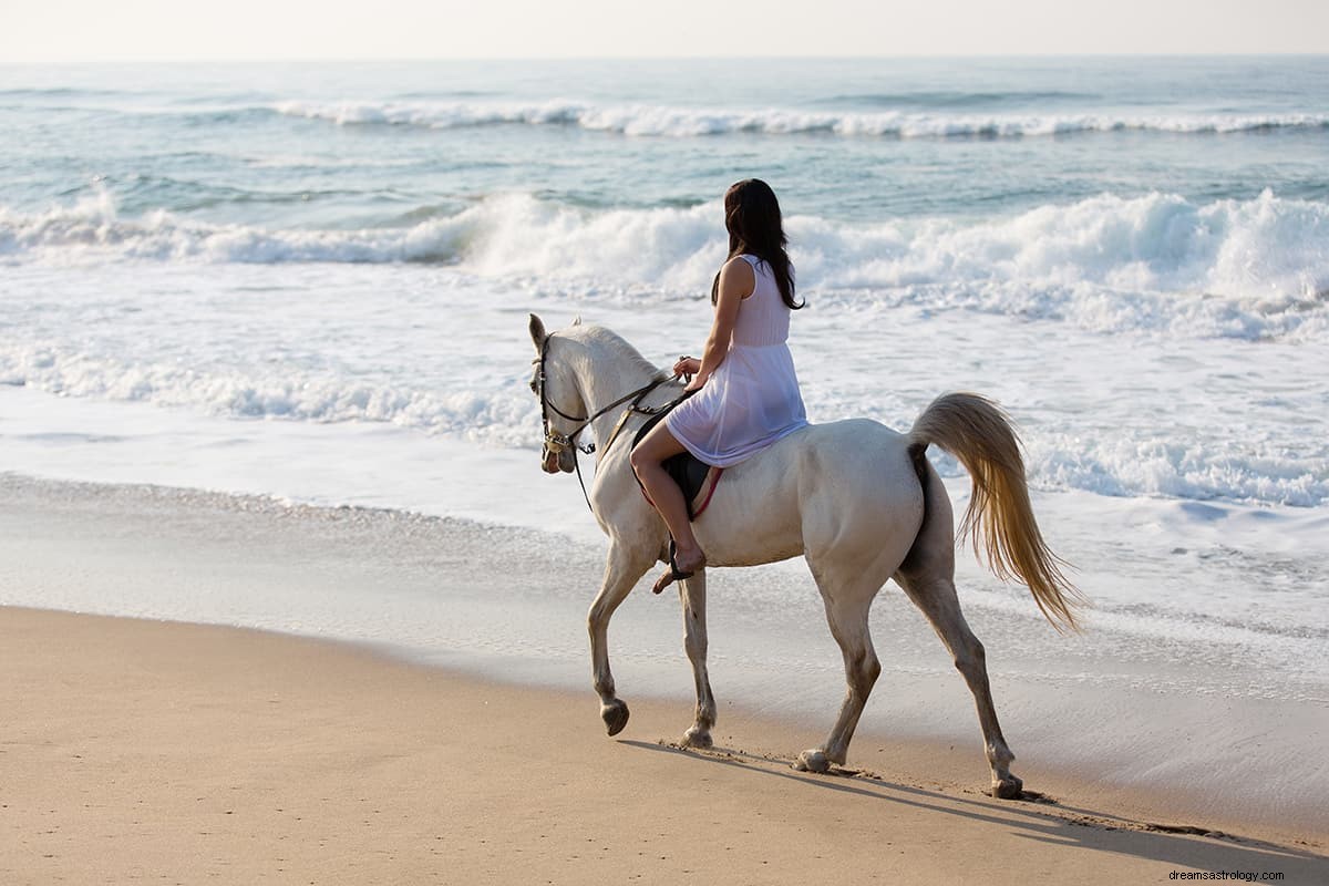 Cosa significa sognare un cavallo bianco? 