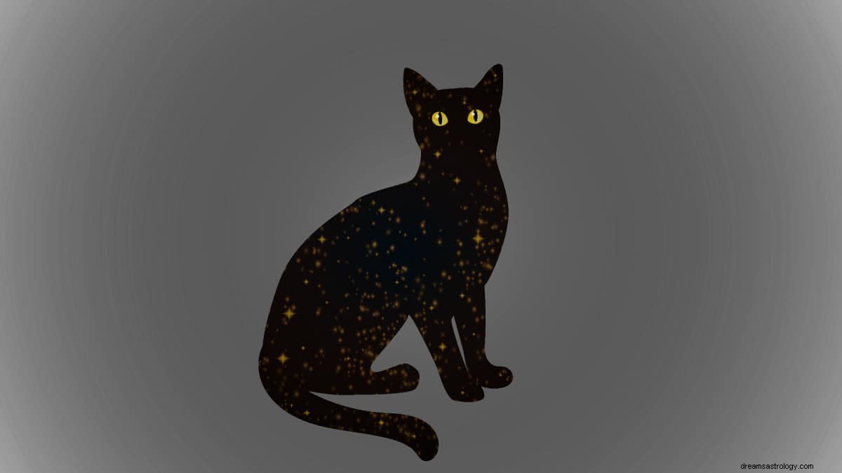 ¿Qué significa soñar con un gato negro? 