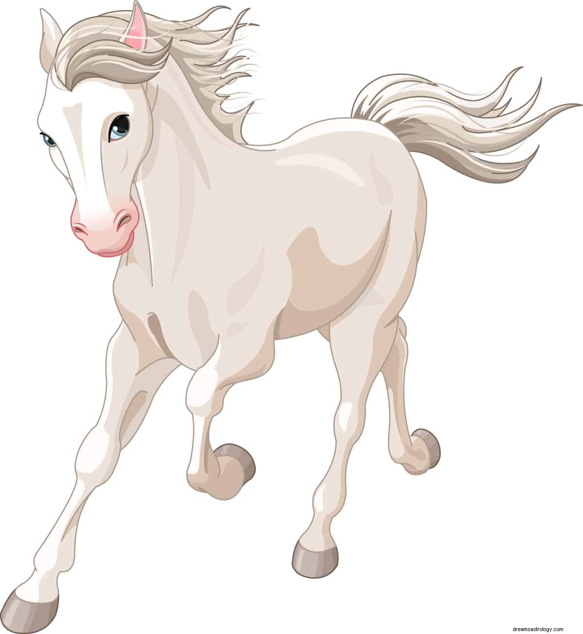 O que significa sonhar com cavalo branco? 