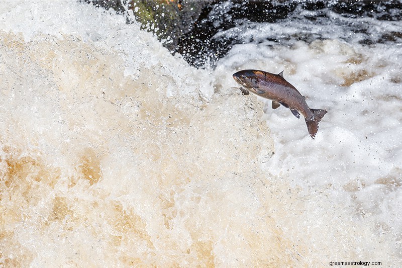 Bedeutung und Interpretation von Fischträumen 