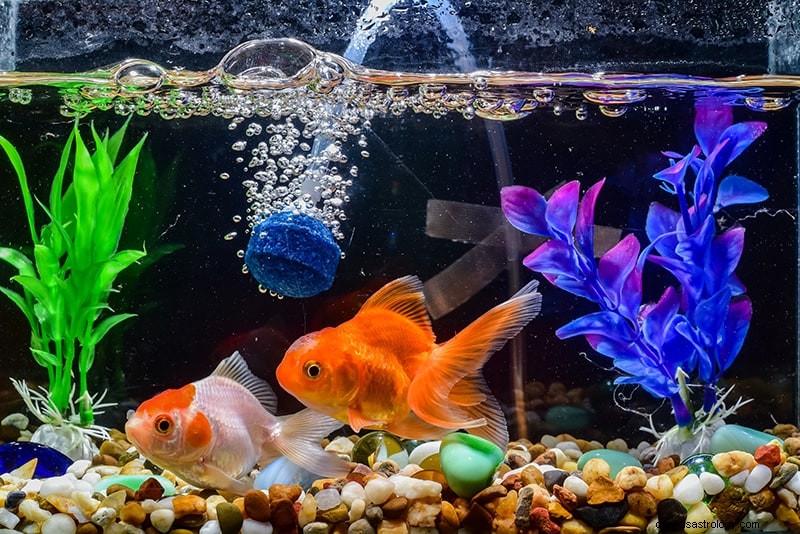 Significado e Interpretación de Soñar con Peces 