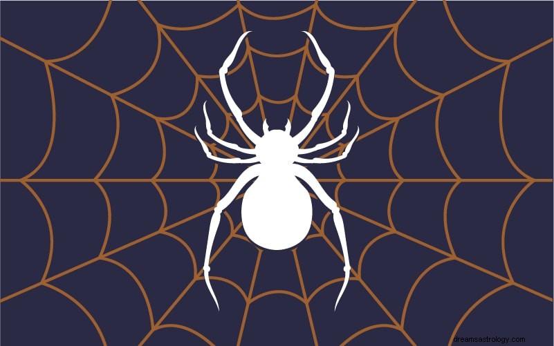 Significado, simbolismo e interpretação dos sonhos de aranha 